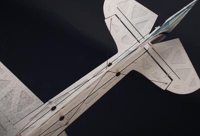 HobbyKing Tristania-EPP High-Performance 3D Airplane w/ Motor