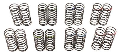 Team Durango Shock Spring Set Big Bore 45mm Set (8 Pair) TDRTD230027