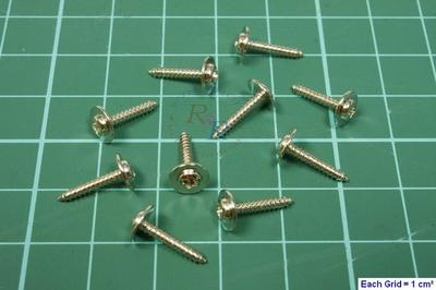 Self-Drilling Screw Î¦2.0x12mm (10pcs/set)