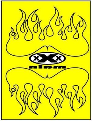 XXX Main Racing Fatty Flames Paint Mask XXXM021L