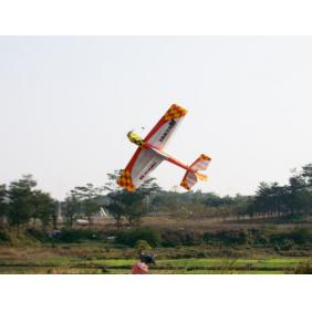 Yak55M EPP Aerobatics RC Model Electric Airplanes ARF Type A