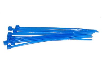 Zip Ties (Blue 10pcs)