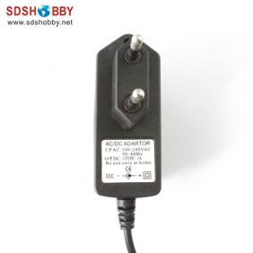 110-240V AC/DC 1A Adaptor Power