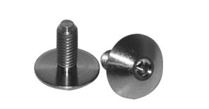 Lunsford 1/10 Titanium Wheel/Wing Screws (2) LNS7900