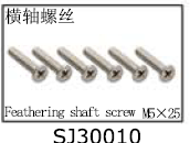 Feathering shaft screw (M5*25) SJ30010