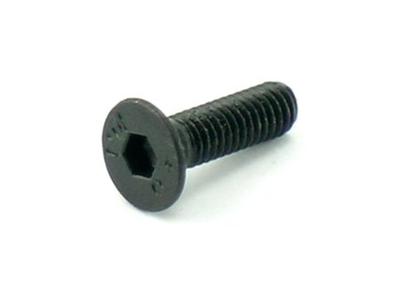 Astral Flat Head Screw M3x16 10pc