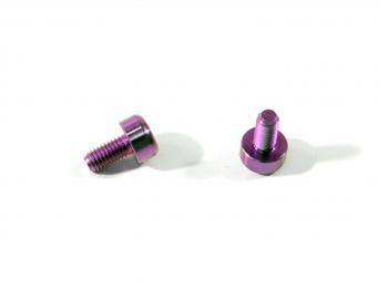 HPI Ti Motor Screw 3x6mm (2) HPIZ046