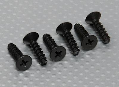 Flat Head Philip Screw (M5x20mm) - Turnigy Titan 1/5 (6pcs/Bag)