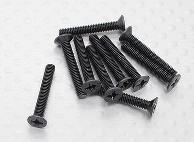 ISO3*20 FH Screws - A2033 (10pcs)