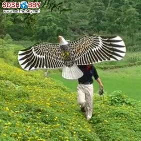 New Style RC Eagle Kite Ready To Fly (left hand throttle)